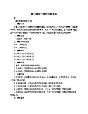 “拳心鑄夢”職業拳擊爭霸賽全案策劃